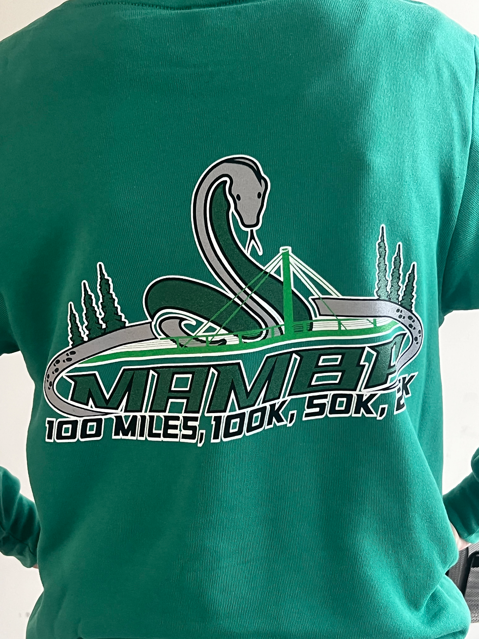 Bella Canvas Mamba 100 Hoodie-Kelly Green