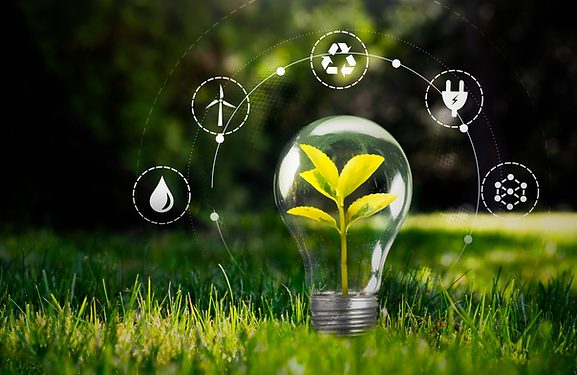 Sustentabilidade e Economia Circular