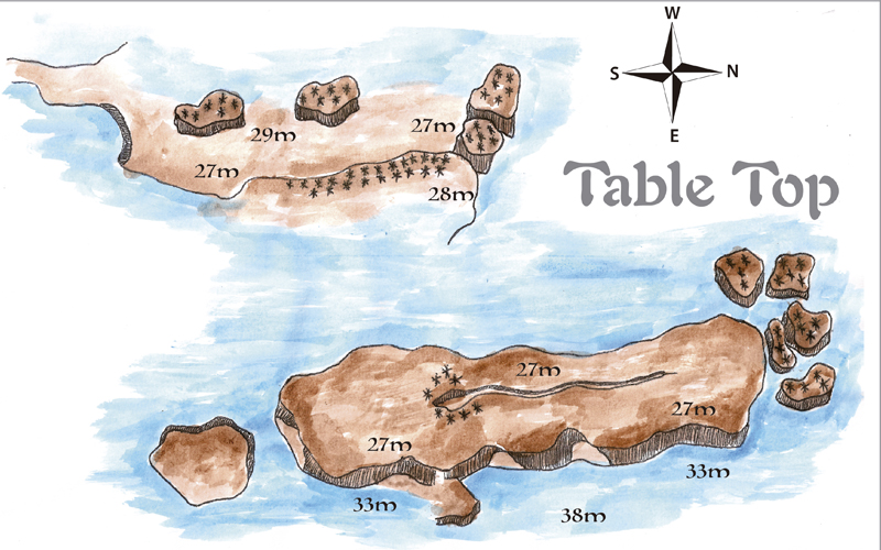 TABLE TOP