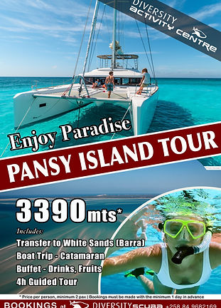 pansytours3.jpg