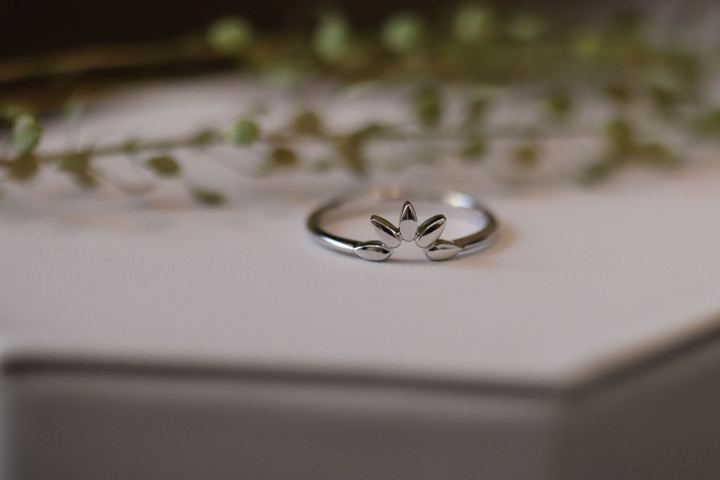 Sunflower Gaze - Hold that head up high