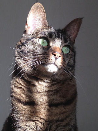 WhatsApp Image 2022-02-12 at 14.29.46.jpeg