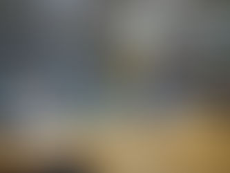 [기사] 이승준 동문 - 애틀란타 한인회 정부 보조금 승인