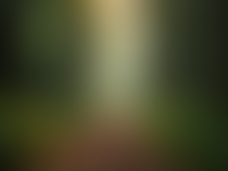 The Transformative Journey of Inner Awakening