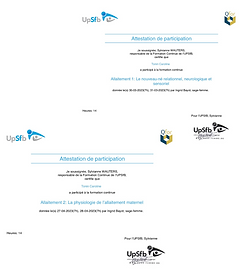 Diplomes et formations