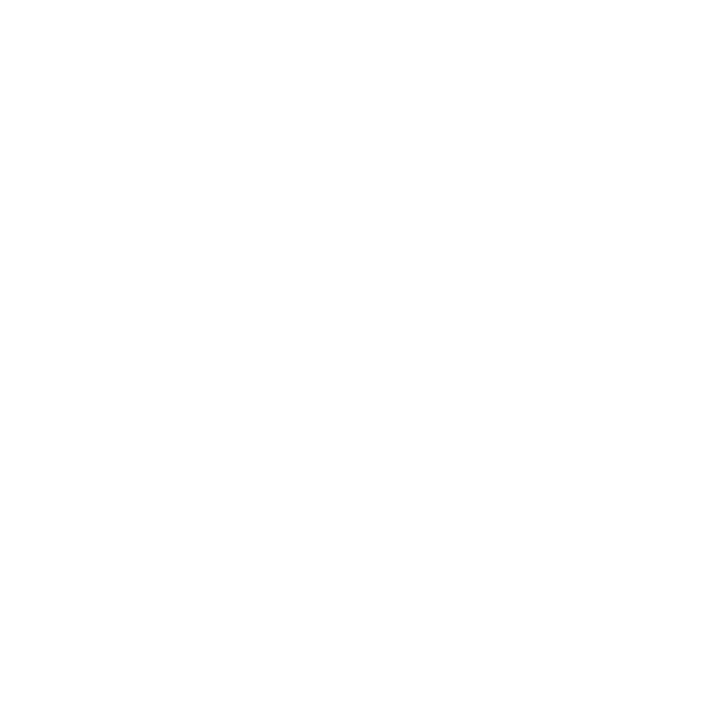 Braunschweig Construction Logo