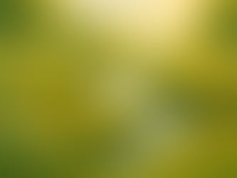 🌼 Where Your Energy Flows, You Grow