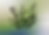 Growth Line Art PNG.png