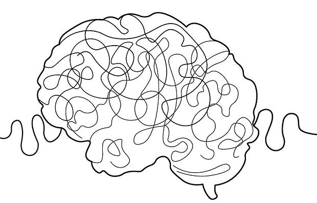 brain.jpg