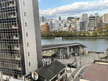 のどかです。