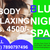Relaxing Massage Blue Night Massage & Spa Kolkata