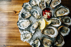 oyster.jpg