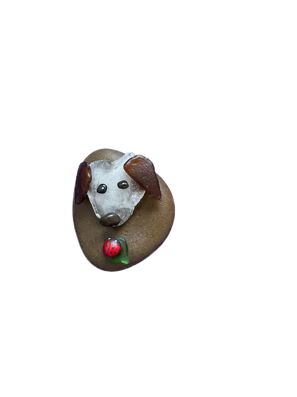 IMG_1123 Background Removed.png