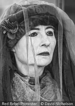 First_David Nicholson_Red Rebel Protester