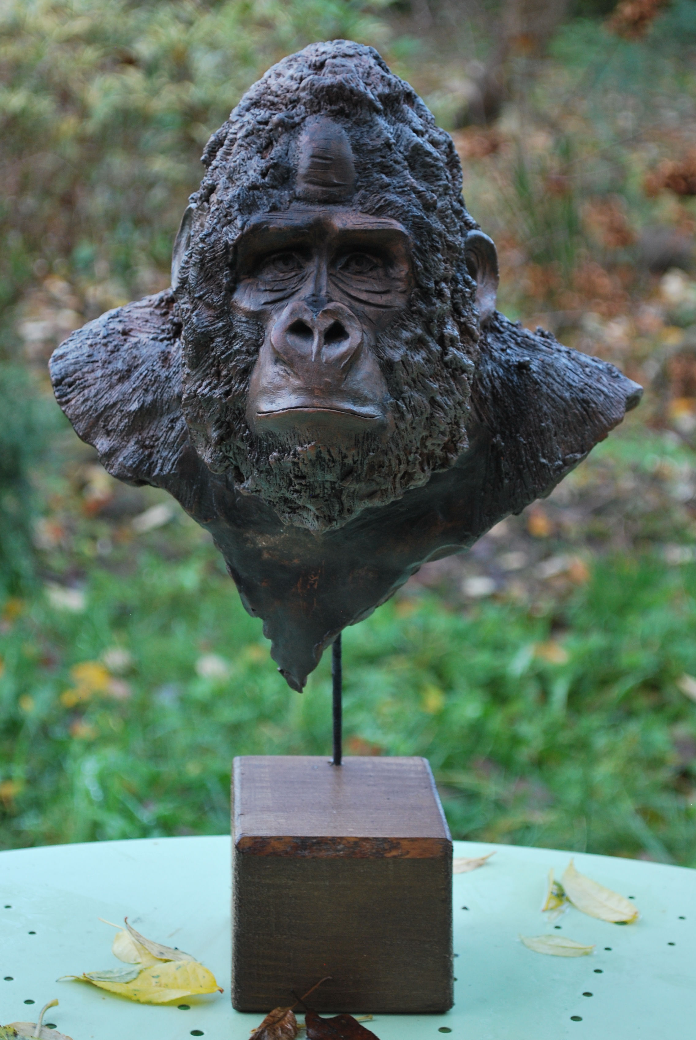 Gorilla bust