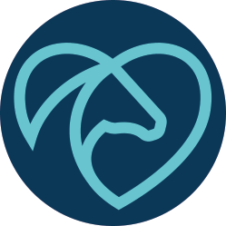 Foto van schrijver: Melanie de Jong & Anoeska Zijlstra