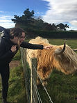 walking tours in scotland guide