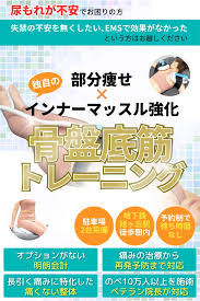 座るだけで骨盤底筋トレーニング？電磁パルスの驚きの効果