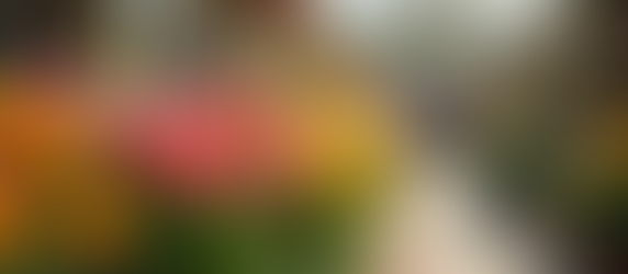 Same Day Delivery in Glen Rock, NJ