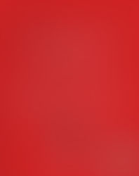 "Come Together for Trans Rights" Auction