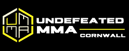 umma logo.png