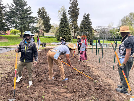 City of Tukwila and Port of Seattle Cultivate Thriving Congolese Community Garden