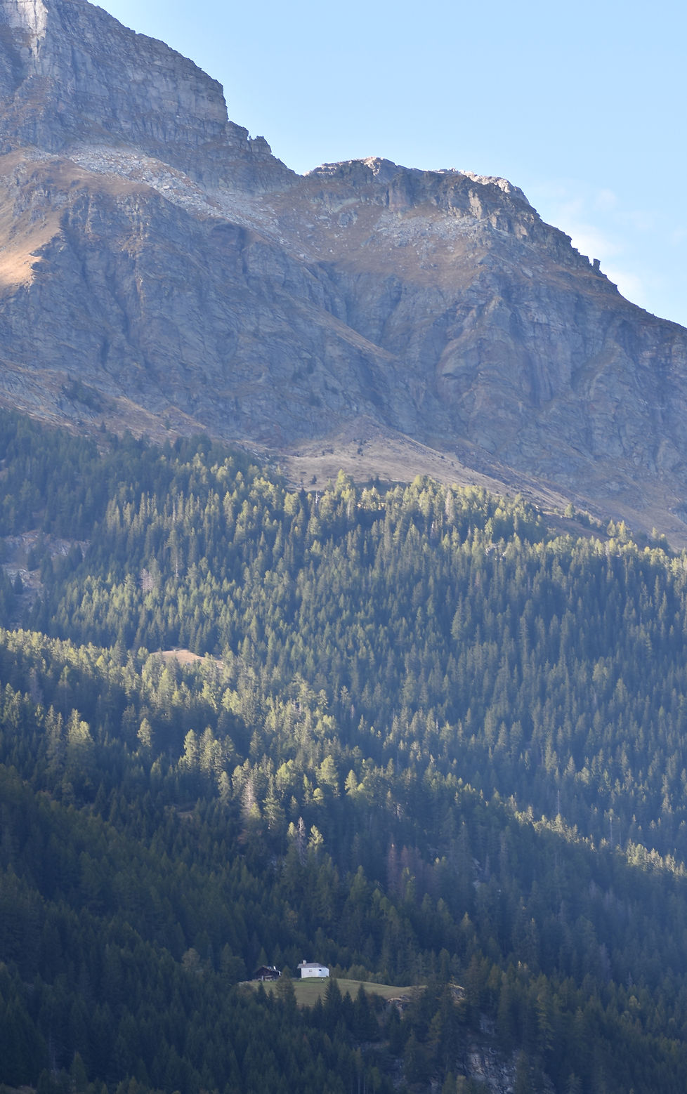 DSC_1195.JPG