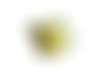 波佐見焼 日本製 勲山窯 急須 茶こし付き 240ml 1〜2人用 ひまわり モスグリーン