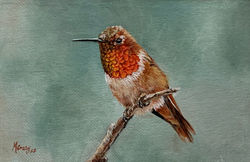 SOLD "Rufous Hummingbird"