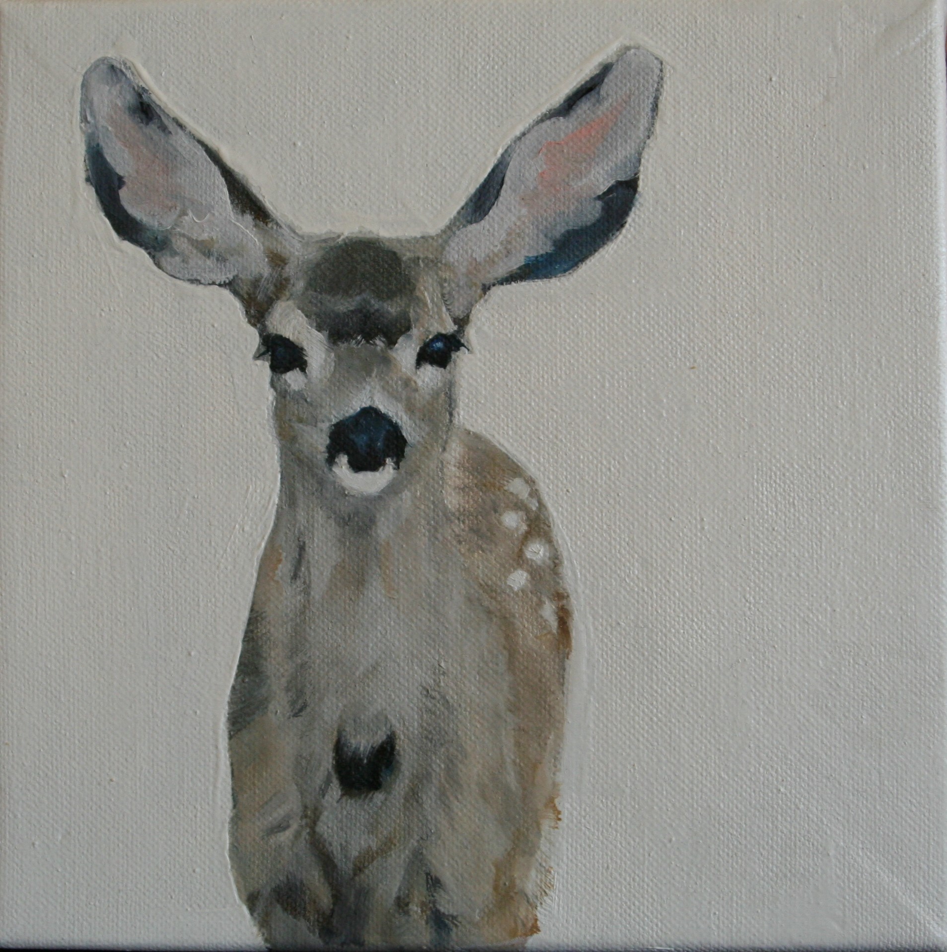 Mule Deer II