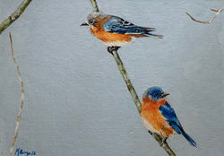 "Blue Bird"