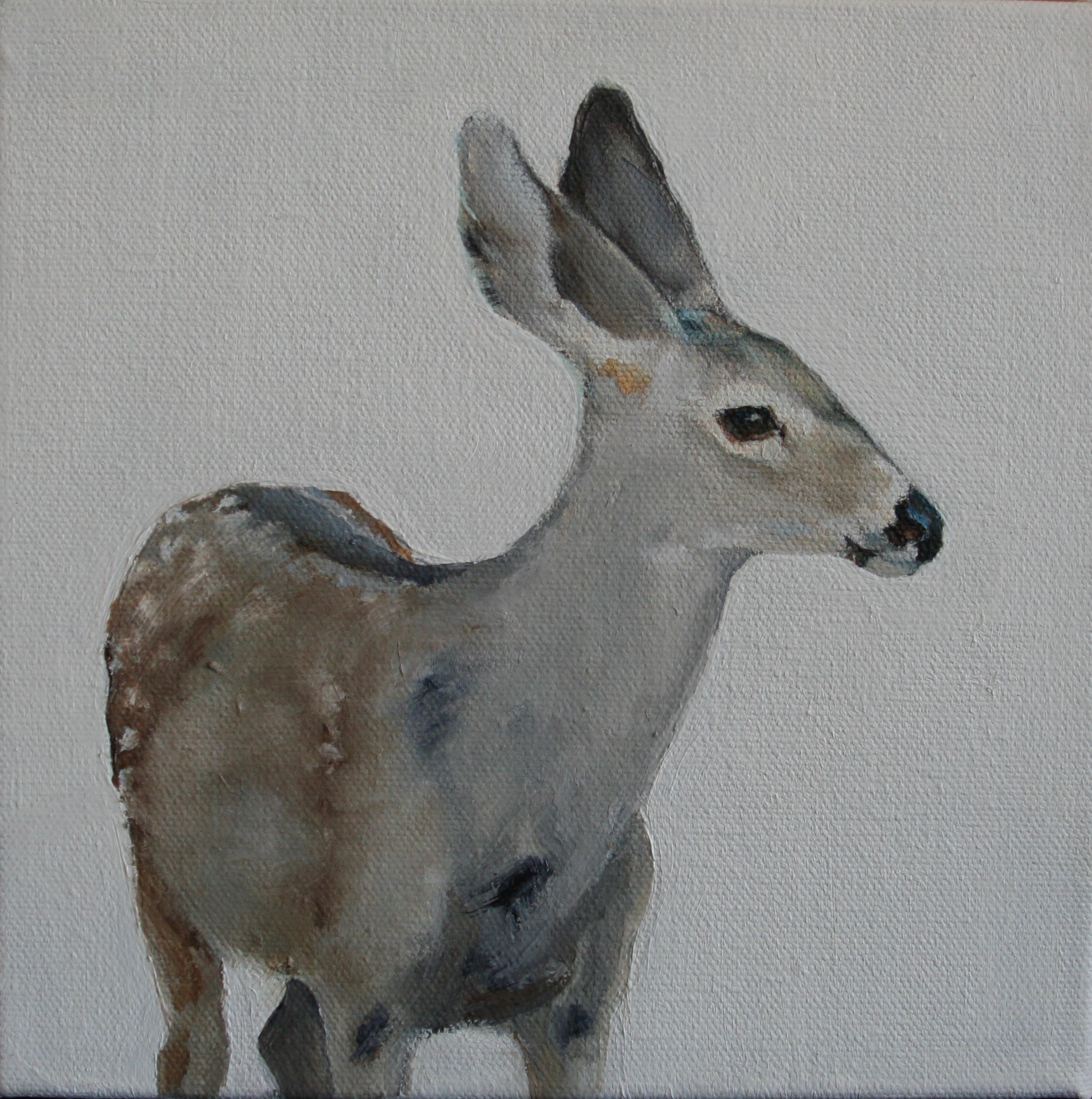 Mule Deer I (SOLD)