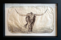 Longhorn
