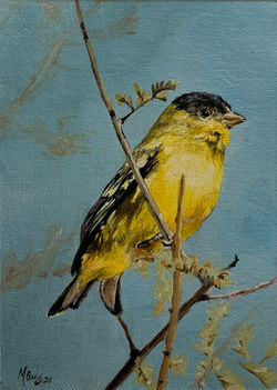 "Goldfinch"