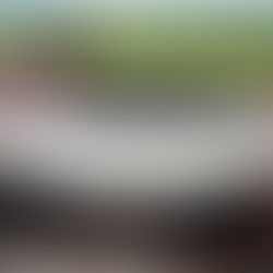 La maison de champagne Joseph Krug à Ambonnay