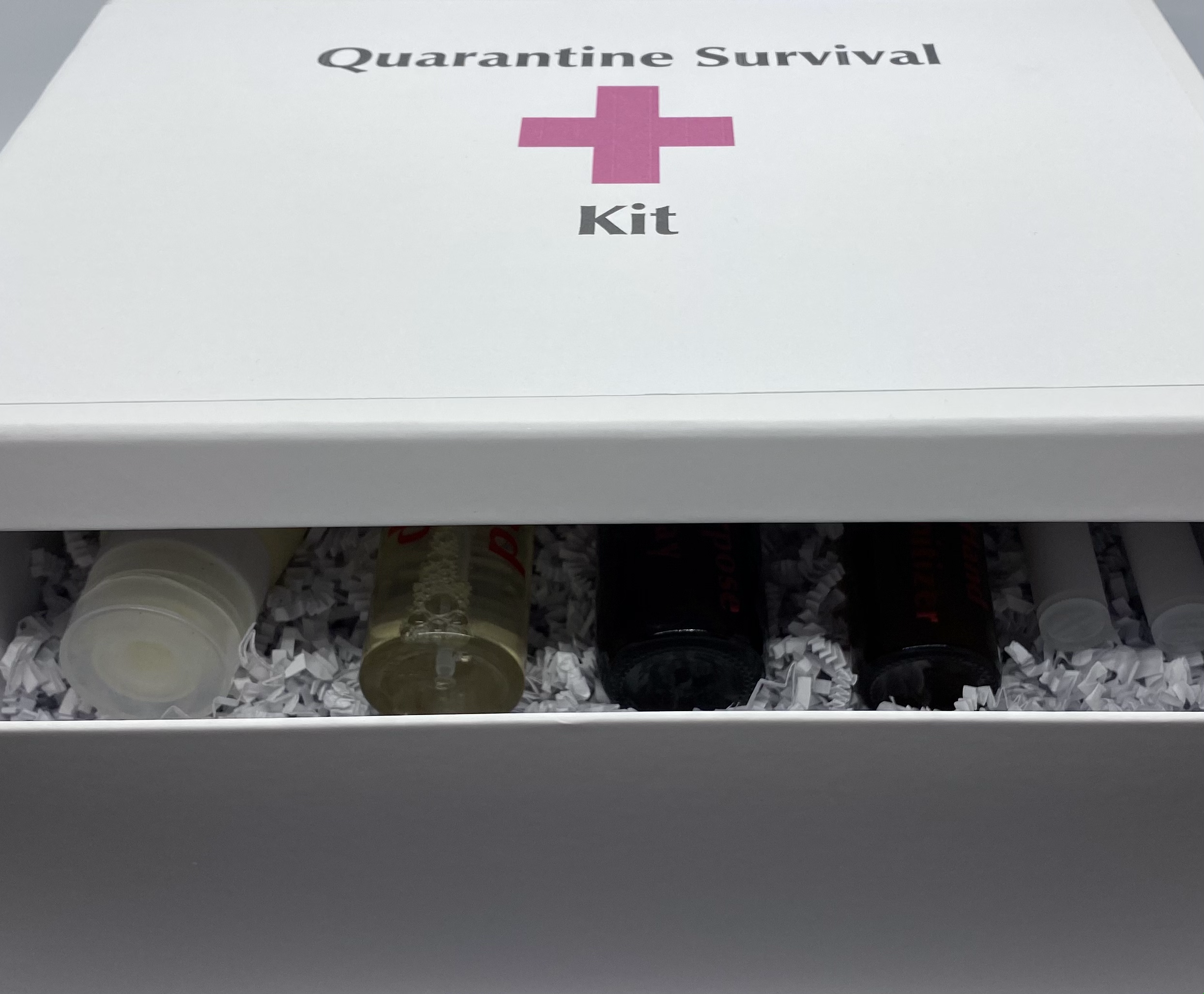 Quarantine Survival Kit