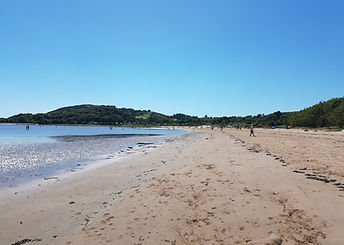 20180630_150046.jpg