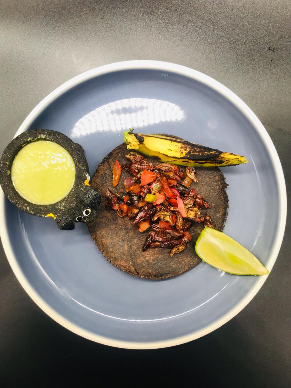 GRASSHOPPER TACO