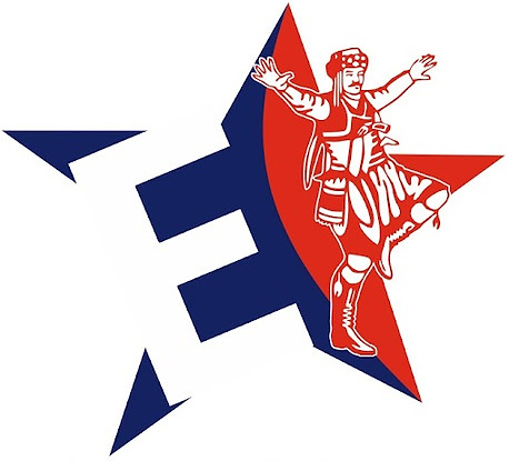 EGE STAR ALÜMİNYUM LOGO.jpeg