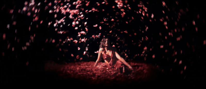 ezgif.com-video-to-gif-converter (8).gif