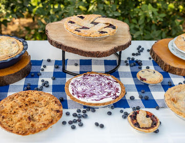 Assorted blueberry pies and tarts on display