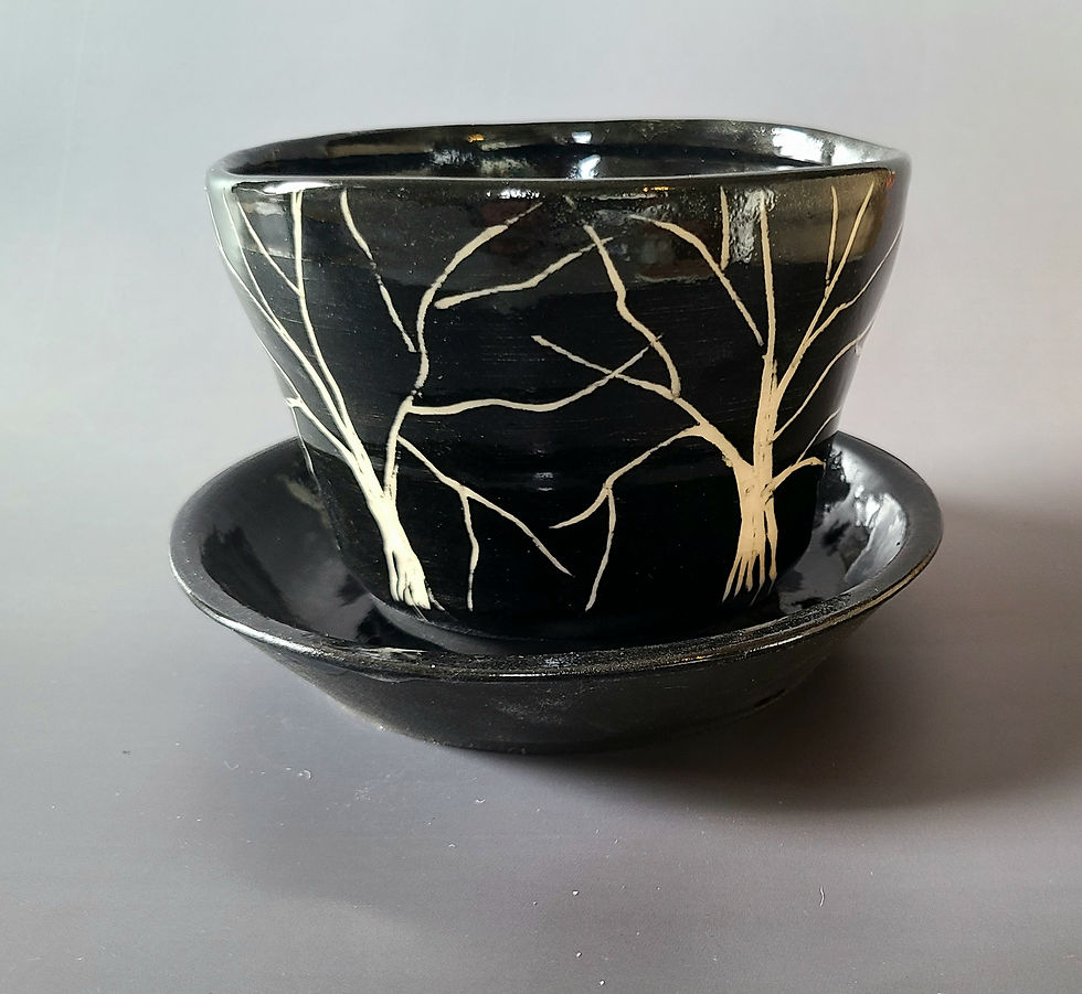 #C48 Flower Pot and Saucer