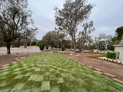 Lawn Installation