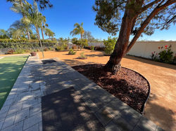 Drought-Tolerant Landscaping