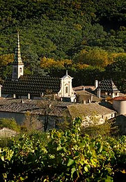 Vue en automne de la Chartreuse de Valbonne
