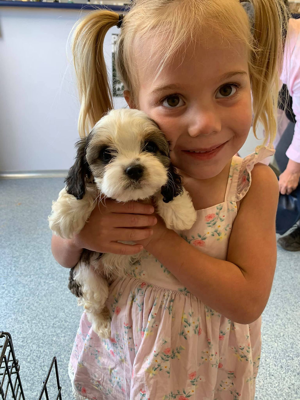 Previous Puppies ster's Kennels