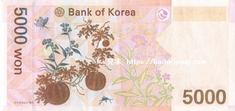 5000won1.jpg