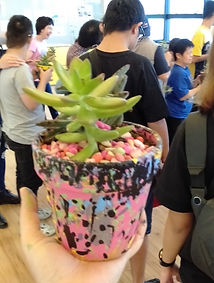 Pot Painting & Gardening Art Workshops