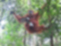 IMG_3813.jpeg
