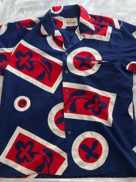 『60年代』トリコロールなカメハメハ